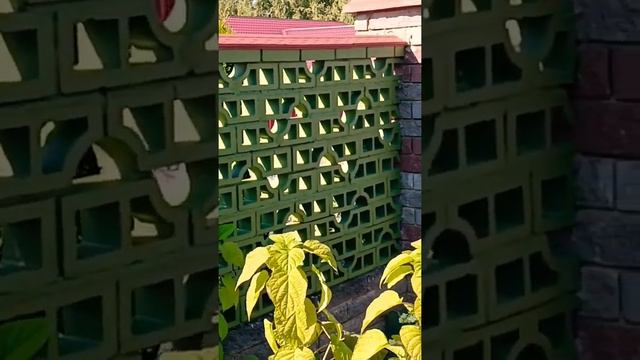 Покраска старого забора (результат)... смотреть онлайн