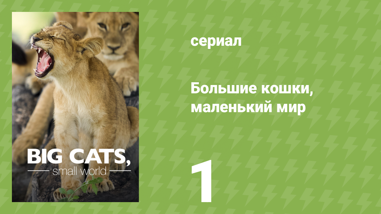 Большие кошки, маленький мир 1 серия «Летние детёныши» (документальный сериал, 2024)