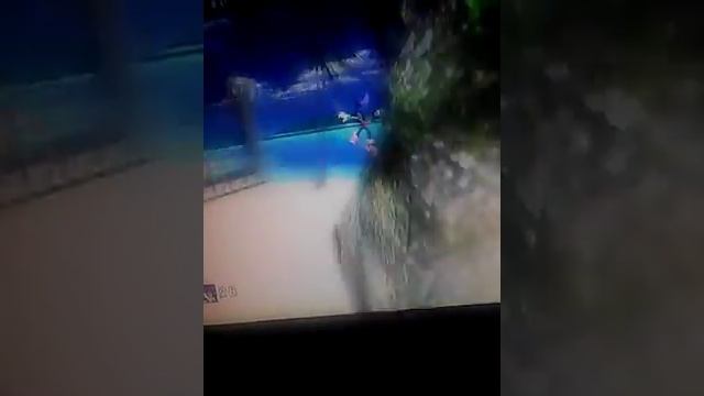 Пасхалки из соник адвенчер dx смотреть онлайн