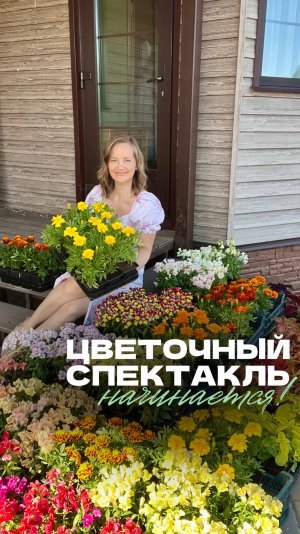 🎭 Цветочный спектакль начинается!