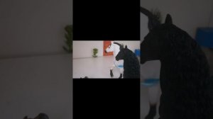 Кто я? Шляйх сериал. Часть десятая : лже - друг.
