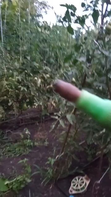 я обалдел от результата. ремонт распылителя смотреть онлайн