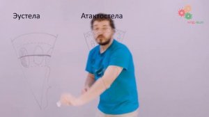 Анатомия растений. Стебель (Вислобоков Н. А.)