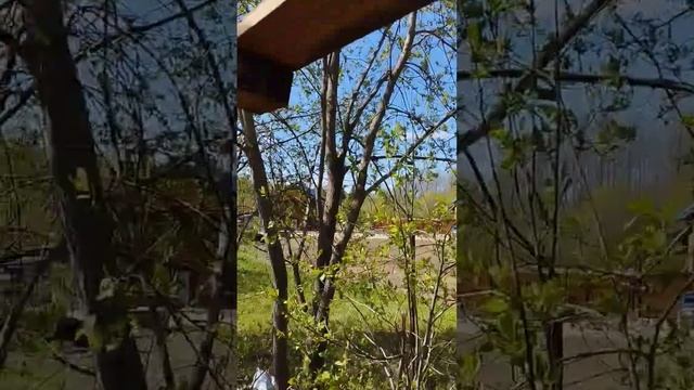 Усиливаю обрешётку птичника. смотреть онлайн