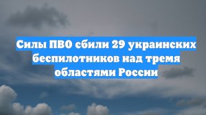 Силы ПВО сбили 29 украинских беспилотников над тремя областями России