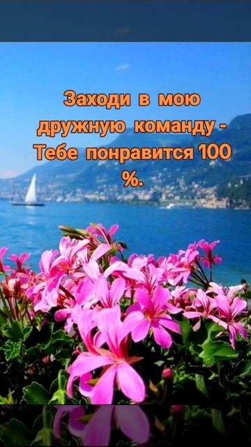 Есть шанс выйти на хороший доход! смотреть онлайн