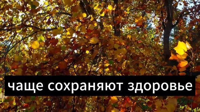 Сколько можно прожить после 70 лет это можно понять по ?