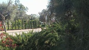 Зимний туризм в Израиле