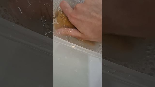 Купаю сквиш собачек❤️🔥💖☆♡