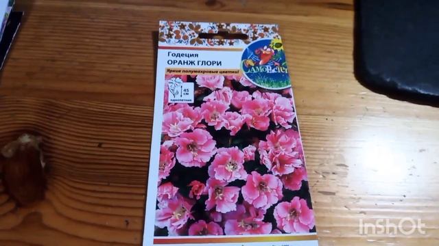 Результаты выращивания цветов из семян в 2024 году.