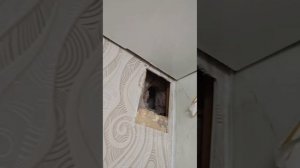 ремонт , ппц , маленький трэш