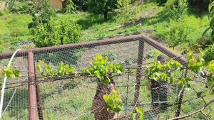 Красота родного края. Ремонт гостевого дома.mp4