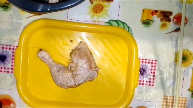 Як коптити в домашніх умовах сало, курку, рулети, свиня