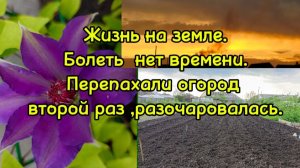 05-06-2025 Жизнь на земле.Болеть нет времени. Перепахали огород второй раз ,разочаровалась..