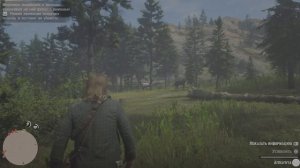 Red Dead Redemption 2 где найти Апалузу