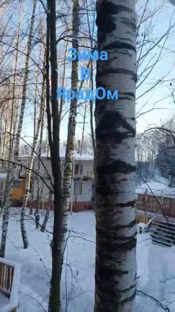 зима в ретритном центре Ярадом #випассана #йога #ретрит
