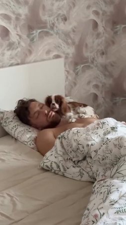 Доброе утро