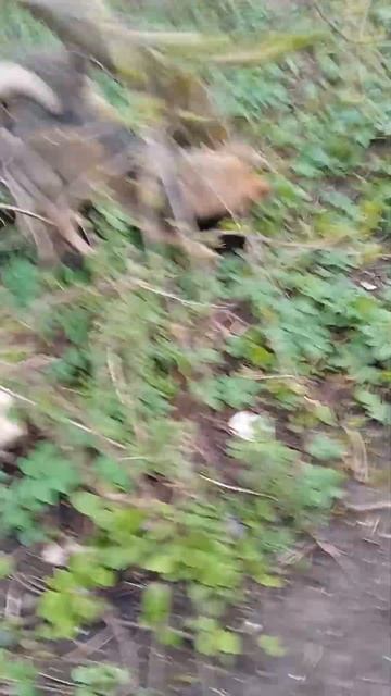 хорошо когда есть кому копать грядки,жаль не последов? смотреть онлайн