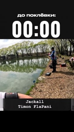 Jackall Timon Flapani  #fishing #jackall #japan #new