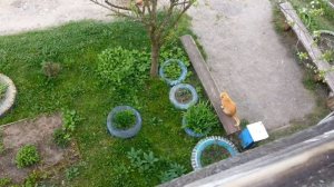 На прогулку