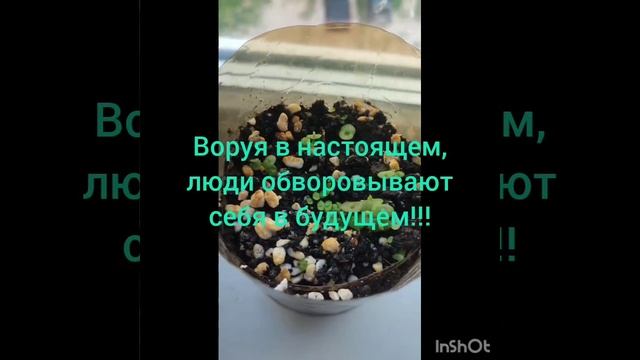 Воровать даже в мелочи опасно!