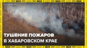 Авиация подключилась к тушению лесных пожаров в Хабаровском крае - Москва 24