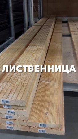 Лиственница