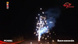 PC 4081 Вася -василёк