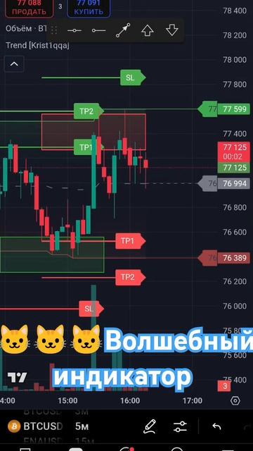 🐱🐱🐱волшебный индикатор #shorts #trending #trading #shortvideo смотреть онлайн