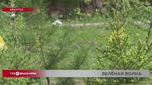 "Зелёная волна" прокатилась по Иркутской области