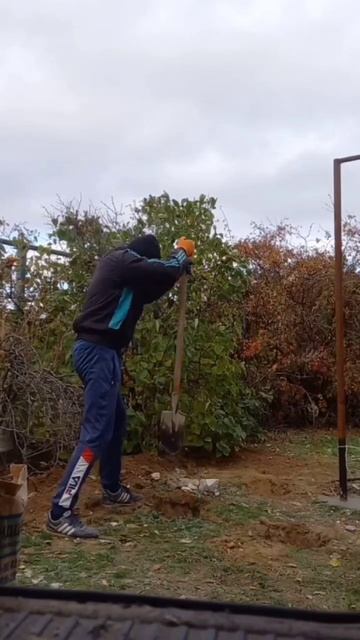 Спортсмены ЕСТЬ?? смотреть онлайн