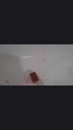 кровавая губка