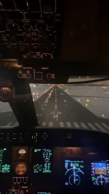 Ночная посадка #посадкасамолета #пилот #pilot #самолет #а? смотреть онлайн