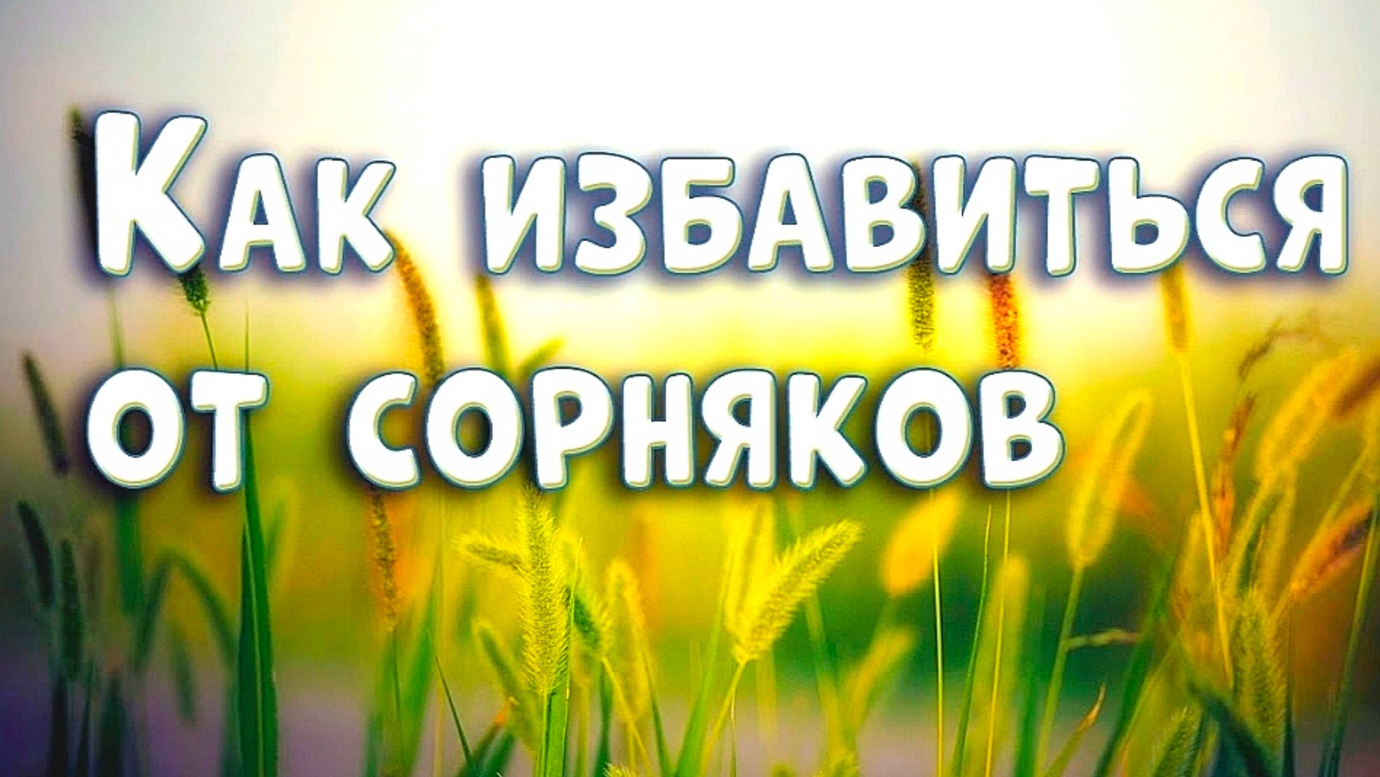 КАК ИЗБАВИТЬСЯ ОТ СОРНЯКОВ НА УЧАСТКЕ