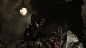 Tomb Raider 2013 Высокая   поджигатель