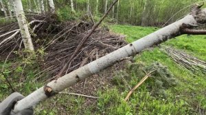 Как работает Садовый измельчитель  ЗУБР ЗИЭ 44-2800