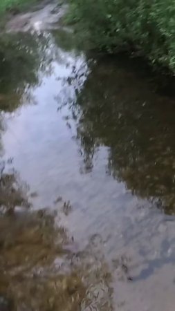Вместо карася нашли соловья