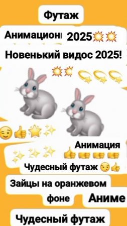 Футаж Зайцы на Оранжевый фон 🐰✨ Аниме Чудесный футаж! 🌟 (Анимация)
