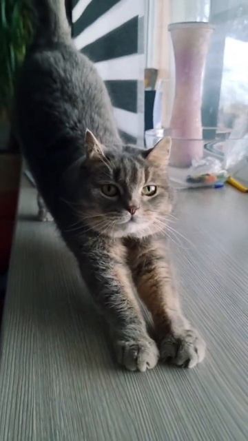 Изумитель Гостевой Дом, апартаменты круиз 1 смотреть онлайн