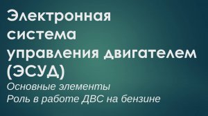 Электронная система управления ДВС с воспламенением от искры
