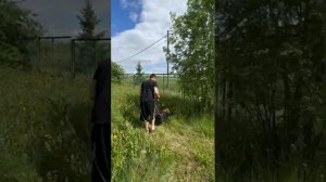 наши рабочие дни