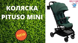 Коляска прогулочная Pituso Mini❤. Смотрите видеообзор первыми!