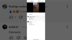 полю лицо и софино