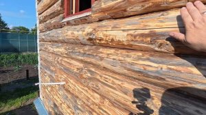 Строимся, не сдаёмся!