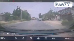 Кляча сбежала с рынка и протаранила автомобиль
