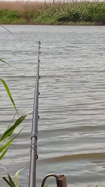 #рыбалка #фидер #фидернаярыбалка Большая река . смотреть онлайн