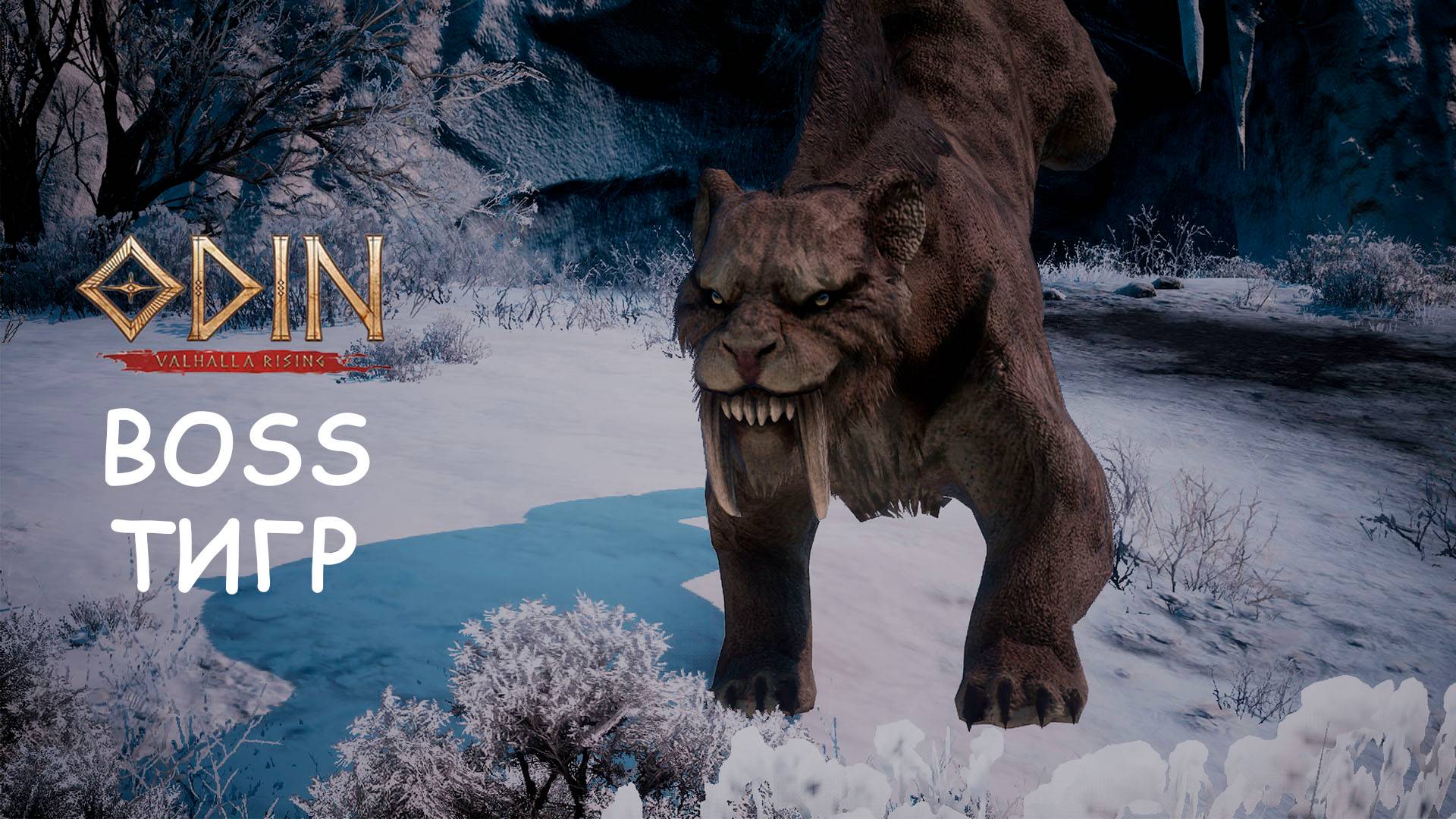 BOSS Тигр Odin: valhalla rising