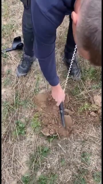 Товарищ #находки #империя #metaldetector #копатель #XPDeus #XPDeus2 #M смотреть онлайн