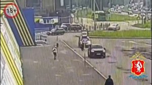 В Екатеринбурге, в отличие от Новороссийска, собака напугала 12-летнего мальчика, да так, что тот...