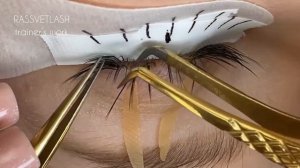 Процесс наращивания ресниц, эффект Asia style 4д, схемы нар?